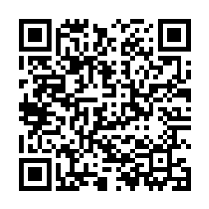而金黄色藤蔓的尖端有着一撮细长尖锐的金黄色小叶子二维码生成
