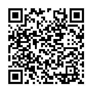 而长生手里的建木一靠近洞口就猛的朝下扎了下去二维码生成