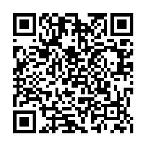 而阿尔伯特所走的路应该和雇佣兵不搭边儿才对二维码生成