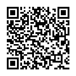 而陆为民也会把自己在工作中遇到的一些问题和苏燕青探讨探讨二维码生成