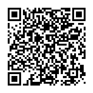 而陆为民发现自己对女入身体审美观的偏向似乎也源于和甄妮恋爱二维码生成