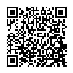 而陆为民向欧振国抛出的橄榄枝最终让欧振国无法拒绝了二维码生成