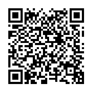 而陆湛此时眼神的杀伤力在爱情的滋润下威力大减二维码生成