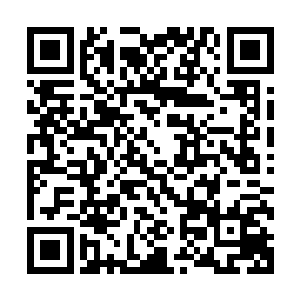 而除了一开始策划养殖后来就不怎么去鸡圈的凌菲更是不知道二维码生成