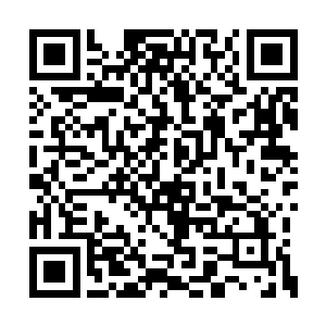 而除了人族与魔族之间永不平息的种族之战以外二维码生成