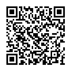 而随后楚旬更是被那余势不止的黄金战场所击中二维码生成