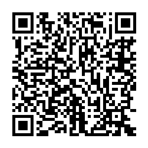 而随后那斩首利刃也是重重的轰击在了楚旬身上那层青铜光罩之上二维码生成