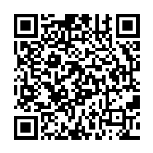 而随着沙皇和虫皇的分身融入沙不灭和蚊血煞的体内二维码生成