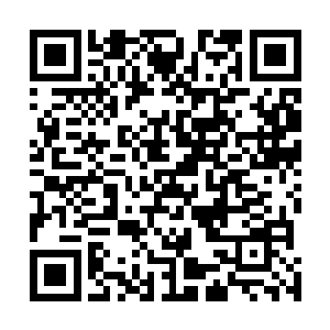 而难得看到这种热闹的血妖姬们倒是真有几分逛街的心思二维码生成