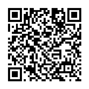 而雨果和特蕾西两个人之间纠缠了五年时间跌宕起伏二维码生成