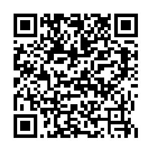 而雨果和约瑟夫这才相处了两个月明显缺乏默契二维码生成