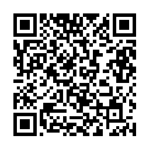 而雪如楼也感觉的到这具身体被惊醒后的全身乏力感二维码生成