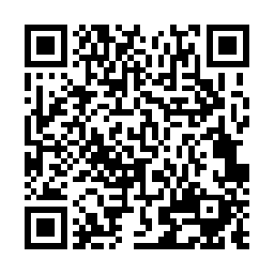 而雷林则是利用小男孩计划成功时的一丝诧异和狂喜之际二维码生成