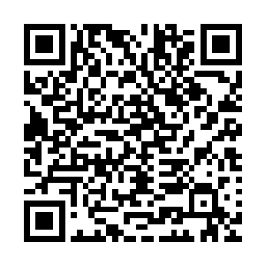 而雷欢喜却如同一个忠实的护花使者一般一直陪伴在她的身边二维码生成