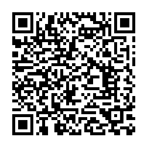而霍君白也将从秦逆流戒指得到的翔鹰天羽甲学武之人可以滑翔天际二维码生成