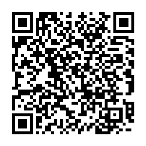 而霍君白更是没想到自己将这块石头交给了风铃的转世带到天脉雪陆二维码生成