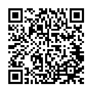 而面对这吕洞宾等人以损伤自身根基为代价所加强的诛仙剑阵二维码生成