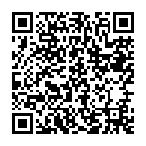 而韩洛文在微信里已经跟年欣然大概报告了过去一周发生了些什么事二维码生成