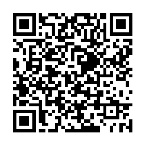 而颜洛儿听到流墨墨怂恿莫崎去翻自己以往的记忆二维码生成