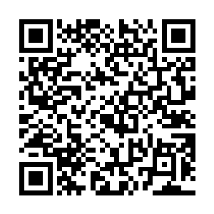 而风天翔不知道的是林欣悦对他也同样有种莫名的情愫二维码生成