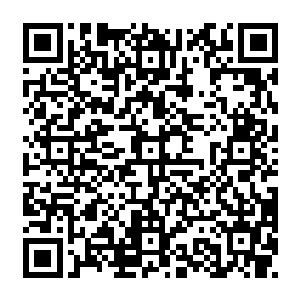 而风意风灵诀的基础篇便是一套从炼息境界修炼至乾坤境界的完整的风系修炼心法二维码生成