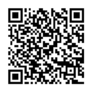 而风水楼和天医馆的负责人也是据说代号为雨和雷二维码生成