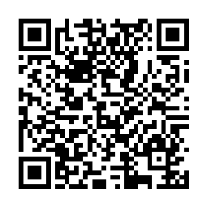 而飞在天上的修士则一窝蜂地聚集在坐忘宗的上空二维码生成