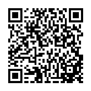 而飞机兄弟会的会规暂时只有一条――对兄弟会的所有情况二维码生成