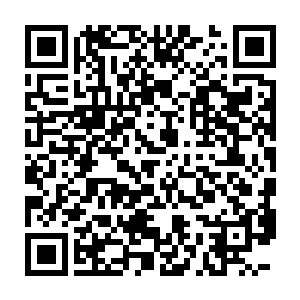 而驭兽宗的宗主石天鹤知道了血魔宗的事情之后差一点没有被吓死二维码生成