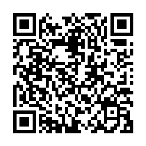而驱动佣兵进入枯萎平原的就是特罗尔要塞张贴的一个个悬赏二维码生成