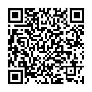而驾车和小子和车里摔出来的人可没有那么幸运了二维码生成