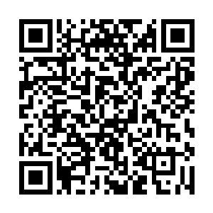 而高层们所想的确实如何才能一举解决墨族这个麻烦二维码生成