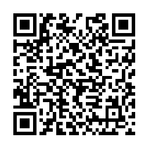 而高扬他妈却是可以抽空子来上一枪就能打死一个二维码生成