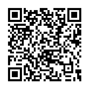 而高阶的化仙者经过这段时间来我对他们的接触二维码生成