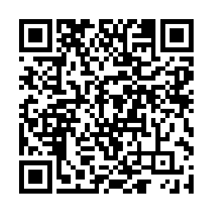 而黄菲菲和龙飞飞二女本来正在为刘飞暗地里鼓劲呢二维码生成