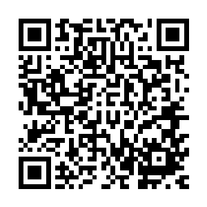 而黑暗议会对潜伏在黑暗议会中高层的叛徒和叛徒家族的追杀二维码生成