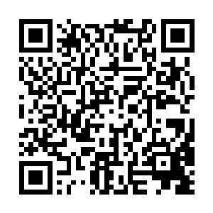 而默多克直接动用了自己的湾流g550专机运送重要人物二维码生成