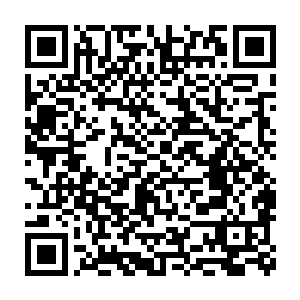 而龙傲天两个人感应的那恐怖的气息赫然正是从这光幕之中传出的二维码生成