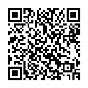而龙王也利用这段时间对那些天域的龙族做了十足的思想工作二维码生成