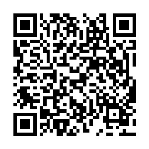 而龙王手中的长棍就没有东方浩然用的那么有章法二维码生成