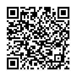 而龙王整个人看上去就如同一阵被定了身的木乃伊一般二维码生成