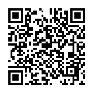 而龙神哈特森主宰了双子位面一半世界的时间已经非常久了二维码生成