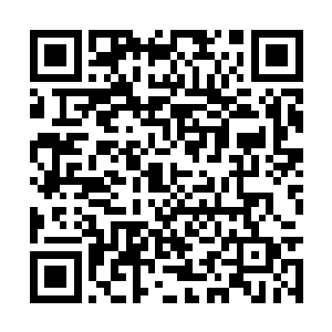 而龙霸天则是面对其他几位长老和西门吹箫的攻击二维码生成