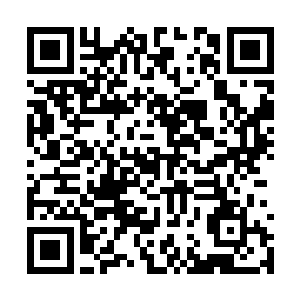 而5000灵力的千灵兽绝对可以轻松虐杀至少十名真灵师二维码生成