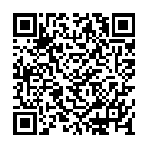 耐不住林儿几番纠缠于是就同意让墨邪带他去了二维码生成
