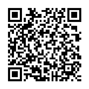 耐心用血妖姬之力封住了宠物们压抑不住外泄的蓬勃金仙气息后二维码生成