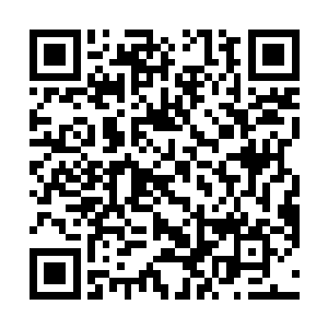 耳中虽然能听到骰子滚动时所发出的每一个细小的声音二维码生成