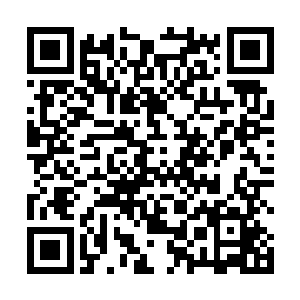耶律玉笏很好奇这个私底下称呼陛下为皇帝姐姐的胖子二维码生成