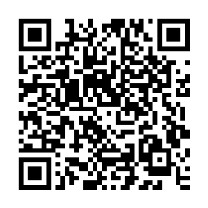 耶律野那个疯子调集了大楚境内几乎所有的北戎大军拦截咱们二维码生成