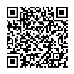 耶律风当下只感觉到周身的血液尽数往脑子涌去二维码生成